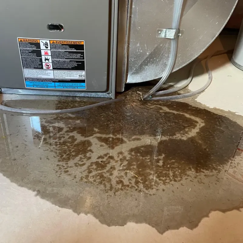 Appliance Leak Cleanup in Mecklenburg County, NC